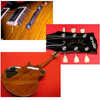 Orville (gibson dachiki)2.jpg